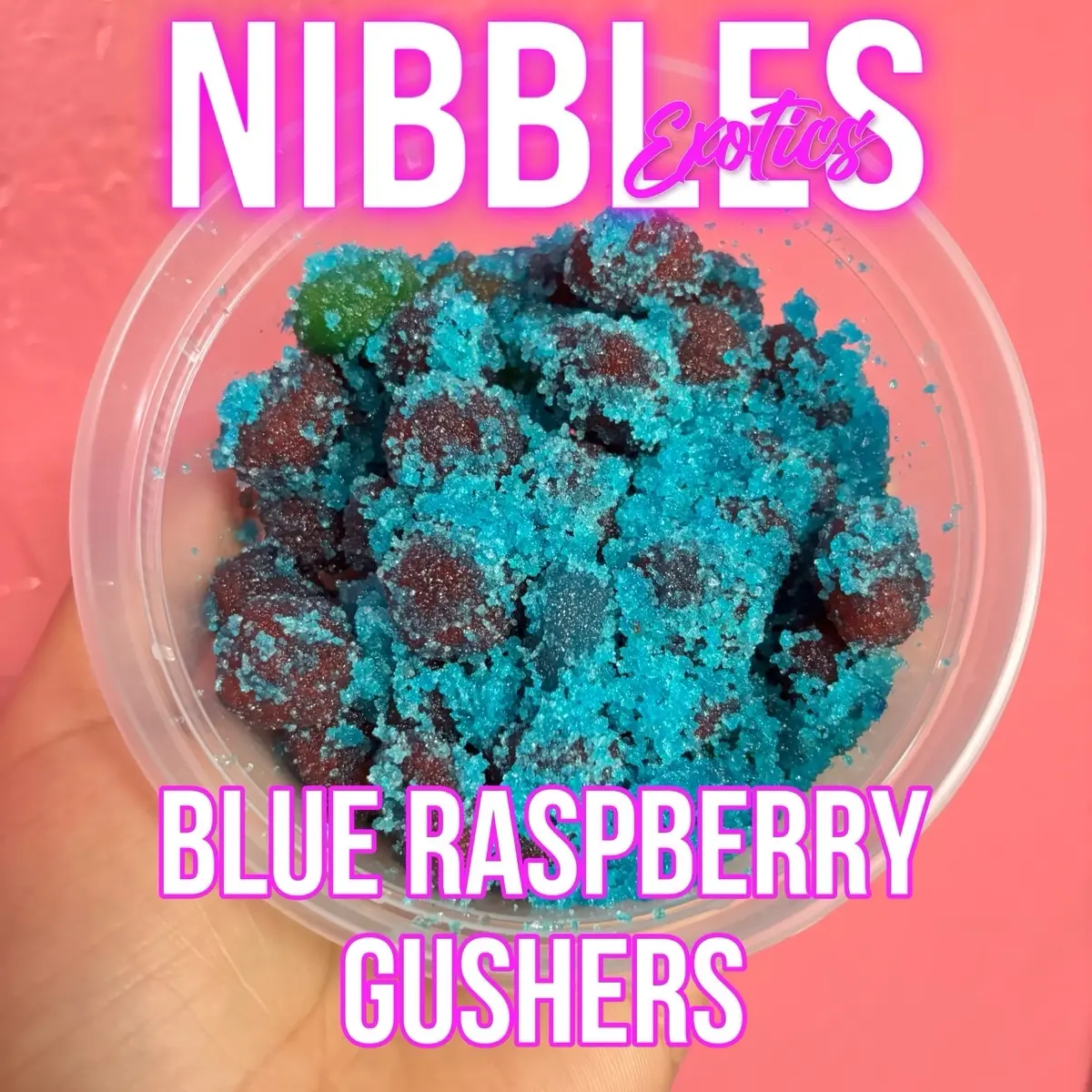 Nibbles Blue Raspberry Gushers 8 Oz Tub Nibbles Blue Raspberry Gushers 8 Oz Tub