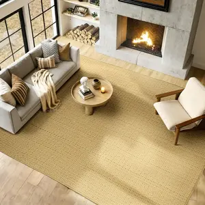 BESTSWEETIE Area Rug Machine Washable Hand Woven Low Pile Plain Pattern Non-Shedding Rugs for Living Room Bedroom Office Dining Room Home Decor