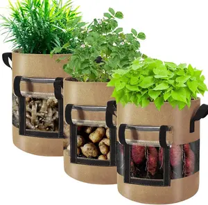 Fabric Grow Bags with 360-Degree Visibility for Indoor and Outdoor Planting - 7 and 10 Gallon Sizes