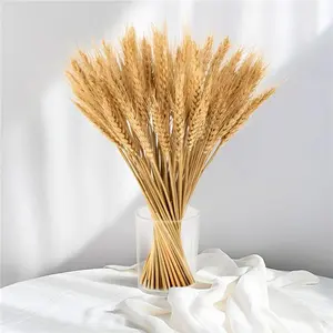 100 Stems Dried Wheat Stalks for Decor - Sheaves Grass Natural Bunch Flowers Home Wedding Table Kitchen Boho Farmhouse Fall Arrangement DIY Decoration 12.9 Inches