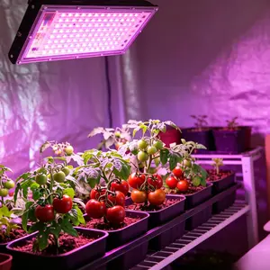 USB Powered Hanging LED Grow Light, Plant Lights For Indoor Growing, 96 LEDs Full Spectrum Plant Light for Indoor Growing, 180° Adjustable for All Growth Stages, Perfect for Succulents Herbs Vegetables Fruit in Home Office, Let Plants Grow Vigorously