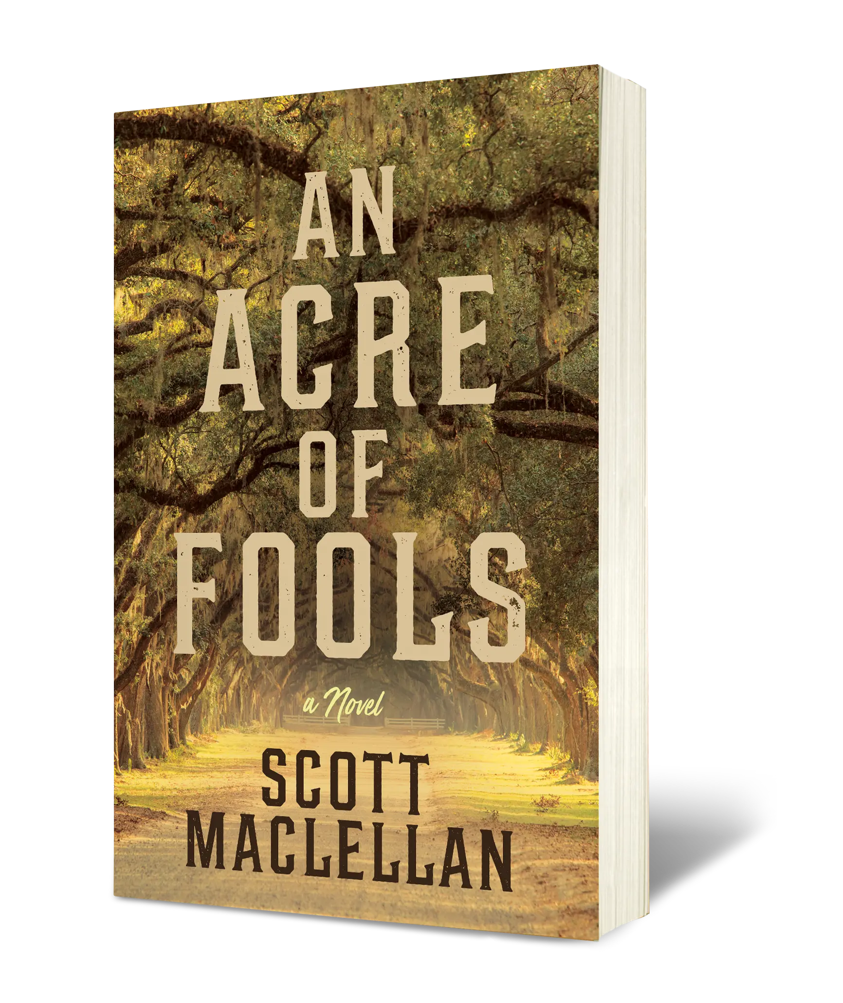 AN ACRE OF FOOLS: A Novel
