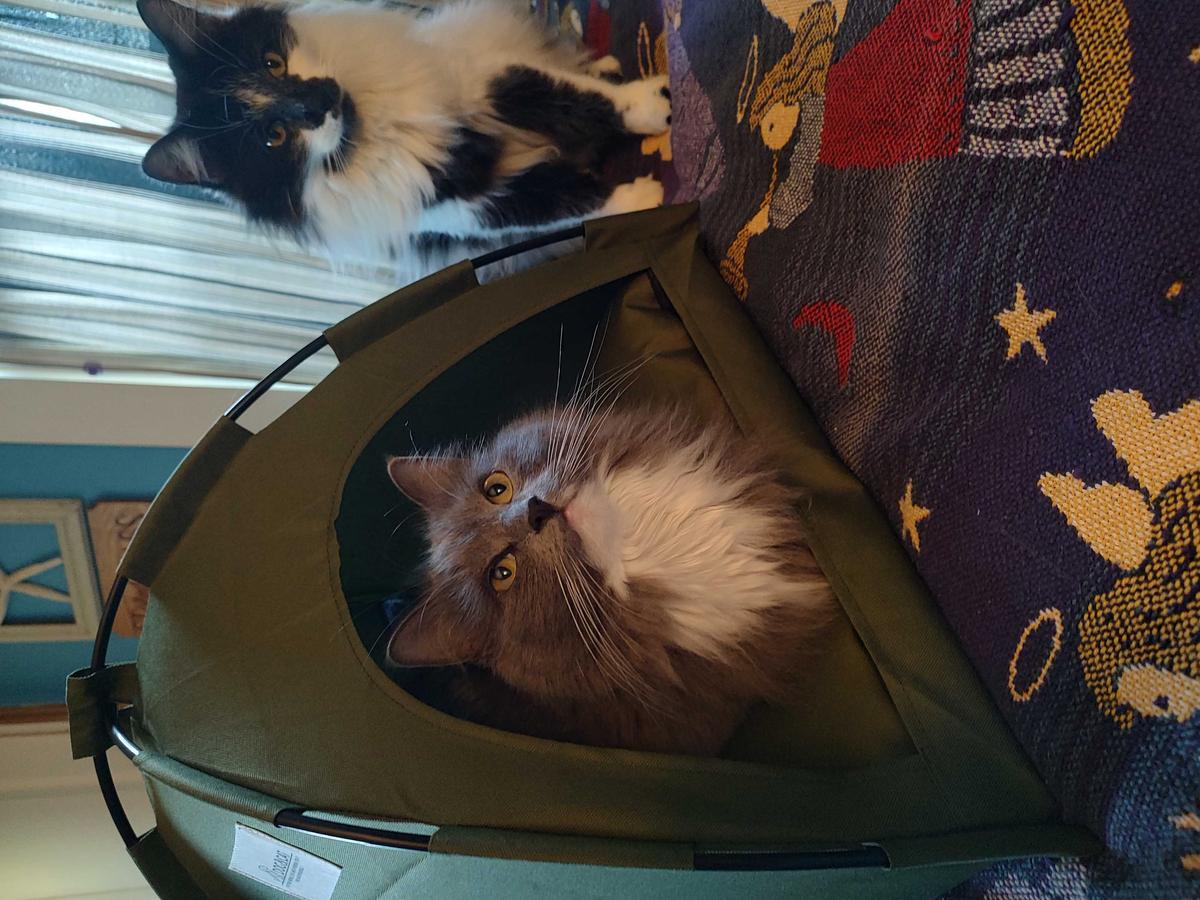 Item: Green, M：15.7*15.7 in (within 11 pounds)