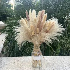 Pampas Grass Decor 110 count 17.5inch  Dried Pampas Grass-15Pcs White Pampas & 15 count Brown Pampas & 50 count Reed Grass& 30 count Bunny Tail Grass,Fluffy Dried  for Home Decor Wedding Boho Decor