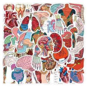 60 Sheets New Human Anatomy Graffiti Stickers, Waterproof Luggage Cup Skateboard Stickers, Unique Personalized Decals for Travel Accessories