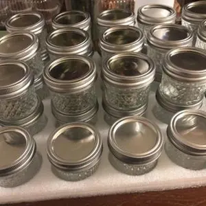 40 Pack Mason Jars 4 oz Canning Jars w/ Regular Lids