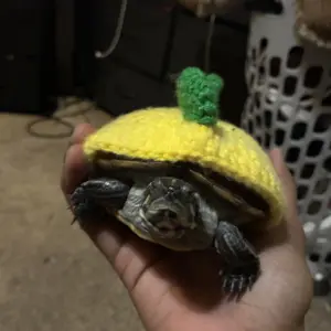 Knitted Turtle Clothes Pet Supplies Warm Cute Water Turtle Leopard Turtle Brazilian Turtle Grass Turtle Shell Decoration