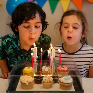 Party Savior Rectangular Cake Cover