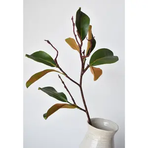 26" magnolia leaf branch