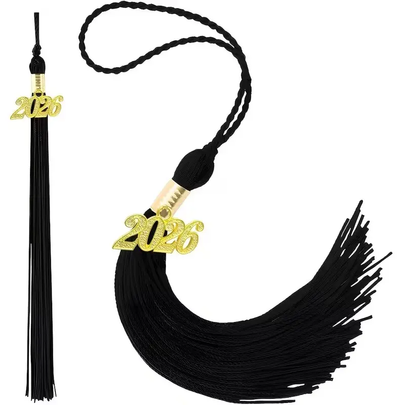 10pcs 2026 Graduation Hat Tassels, Multicolor Tassel Band with Charm, Ideal for Graduation Party Accessories, Grad Party Supplies, Woven Fiber Decor