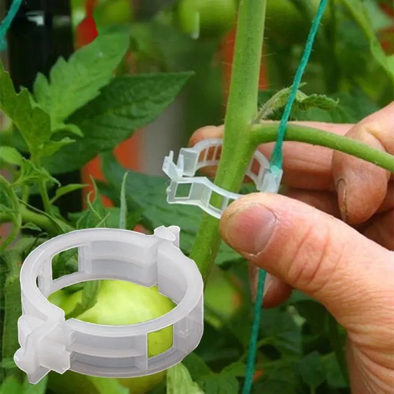 100pcs Plastic Plant Clips Supports Connects Reusable Protection Grafting Fixing Tool Gardening Supplies for Vegetable Tomato Climbing Vegetable Plant