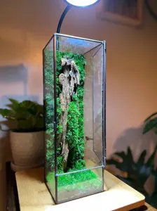 Terrariumazing Driftwood SE Terrarium with Preserved Moss and Rustic Charm Decor Glass