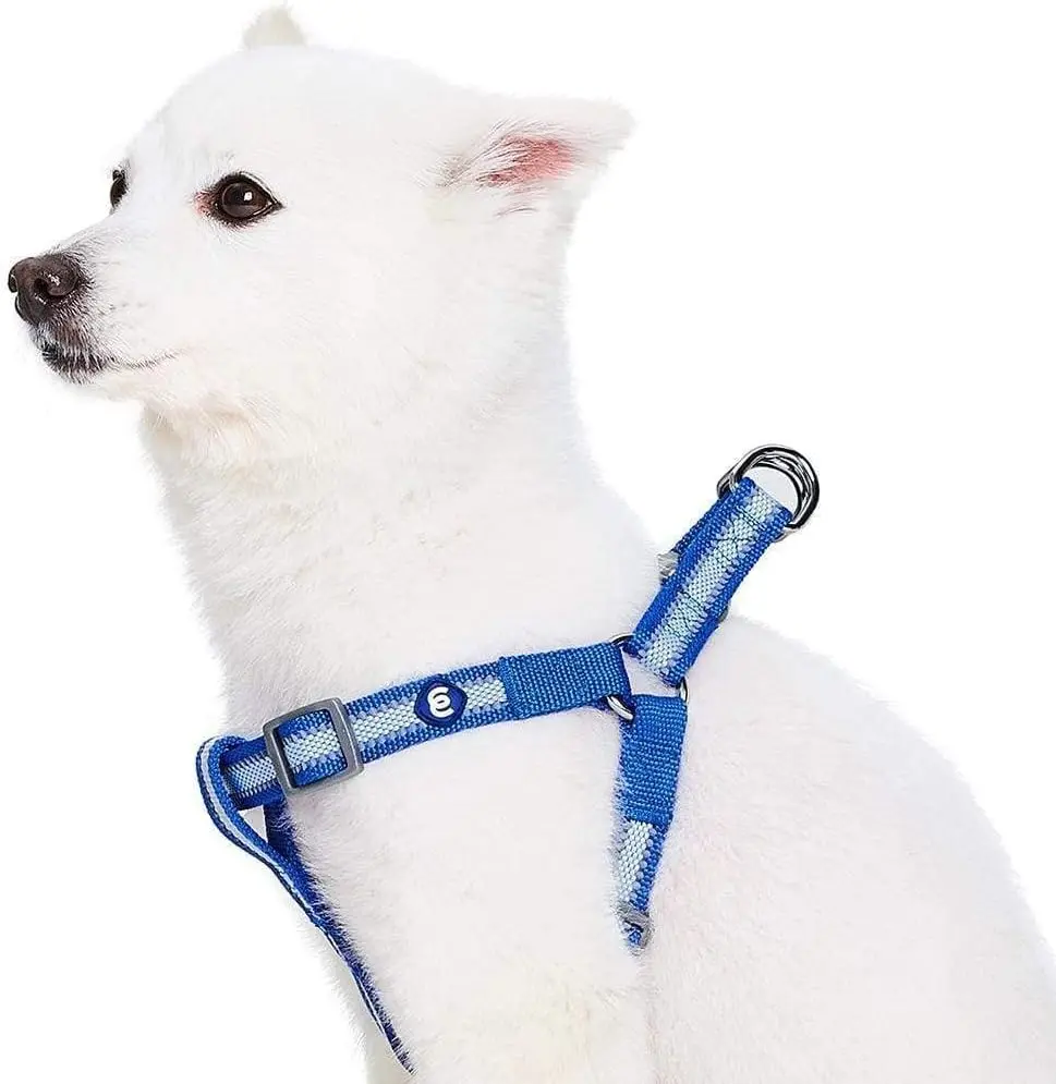 Blueberry Pet Back to Basics Step-in Reflective Adjustable Navy Blue Medium Dog Harness, Pet Supplies (Chest Girth Data Missing) - Dog & Cat Accessories Harnesses