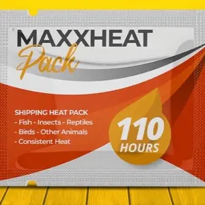 Heat pack