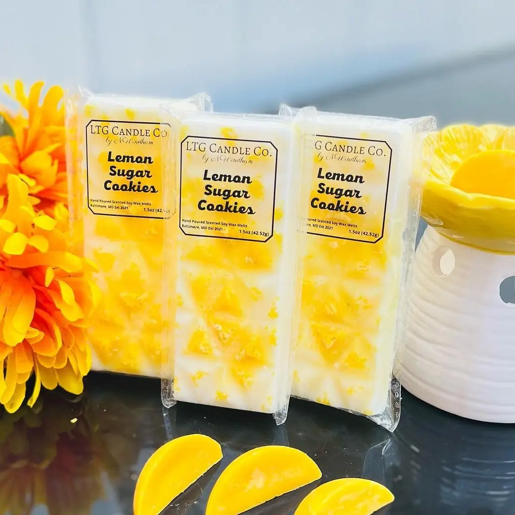 WAX MELT SNAP BAR GIFT SET highly Scented Fragrance Freshener Aroma home soy waxmelts long lasting scent cozy home vibes