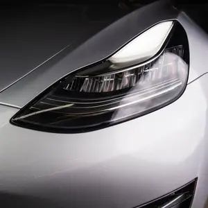 Headlight and Foglight Protection - PPF for Model 3 / Y