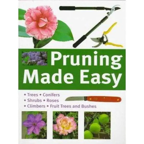 USED-Pruning Made Easy by M. Lombardi (Paperback)