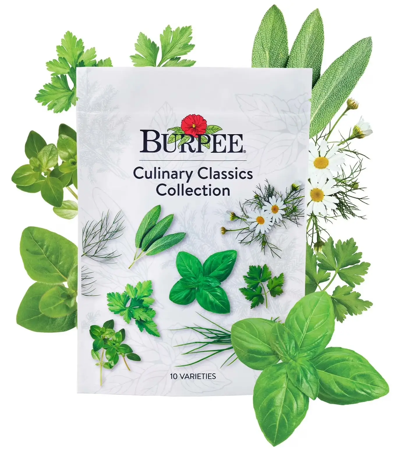 Culinary Classics 10 Herb Plant Seed Packets, Annual and Perennial Herbs, Full Sun