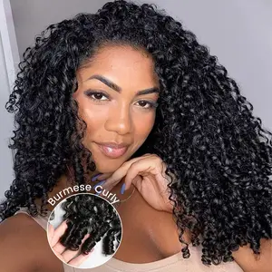 [New In] Asteria Hair Burmese Curly 7×5 Pre Cut Pre Plucked Lace Closure Human Hair Wigs for Styling Ready To Go Pre Everything Wig