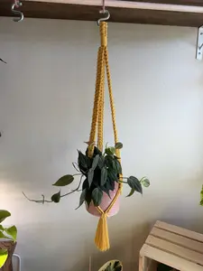 4" Yellow Macrame Plant Hanger