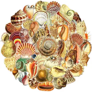 50pcs Retro Seashell Graffiti Transparent PET Material Graffiti Stickers - Suitable for Cellphone, Luggage, Phone Cases, Laptops, Helmets, Skateboards, Waterproof Decorative DIY Creative Stickers