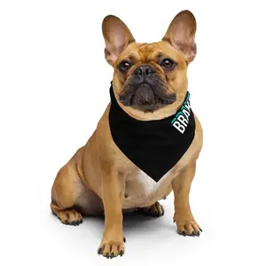 NO BRAKE JUST BARKS TEAL AND BLACK SKULL - PUP BANDANA