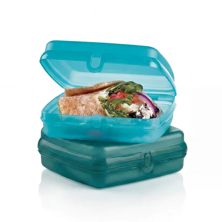 Tupperware Sandwich Keepers - 2 Compact, Snap-Open Lunch Boxes for Back to School Haul, Packing Lunch for My Kid, Work