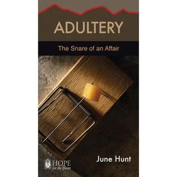 USED-Adultery: The Snare of an Affair by Hunt, June (Paperback)