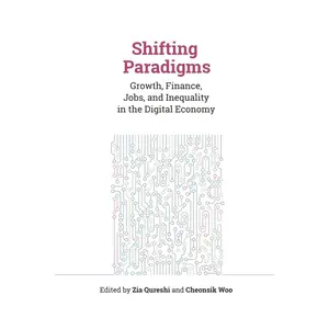 USED-Shifting Paradigms: Growth, Finance, Jobs, and Inequality in the Digital Economy (Paperback)