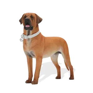 JXK Squatting Posture TOSA Inu Dog with Intricate Texture Details