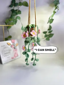 Hanging Plant with Lavender