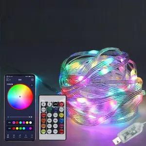 Outdoor RGB Remote Control LED String Lights, 200 LED Bulbs, Plug-in, Ultra-Durable LED Rope Lights, Holiday Atmosphere Decorative Lights