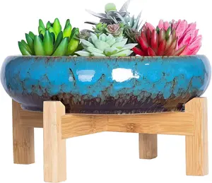 Elegant 10-Inch Ceramic Succulent Planters with Drainage