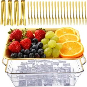 Free shipping/3p 9" Cold Chilled Serving Tray Set - Ice Chilled Platter with Forks & Tongs, Double Layer Charcuterie Serving Board for Appetizer, Fruit, Vegetable, Cold Dish Display Tray for Buffet