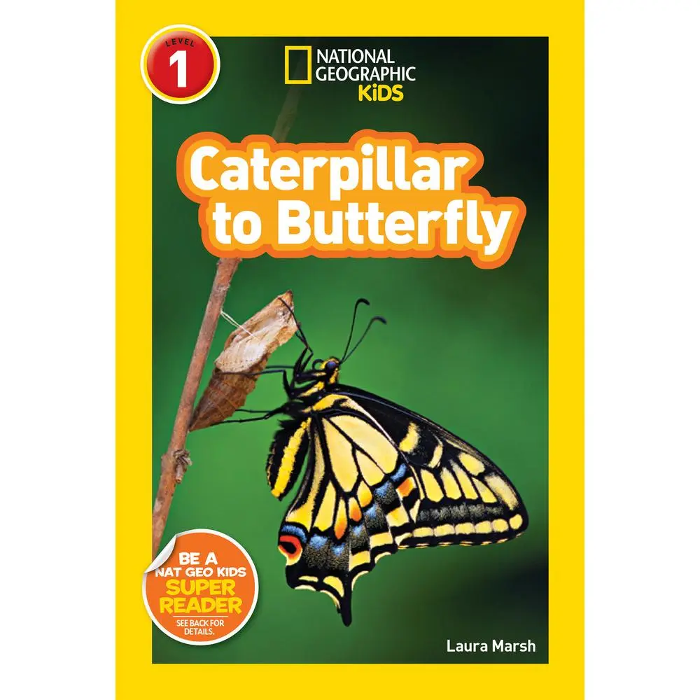 USED-Caterpillar to Butterfly (National Geographic Kids Readers, Level 1) by Marsh, Laura (Library Binding)