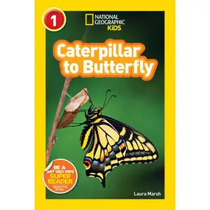 USED-Caterpillar to Butterfly (National Geographic Kids Readers, Level 1) by Marsh, Laura (Library Binding)