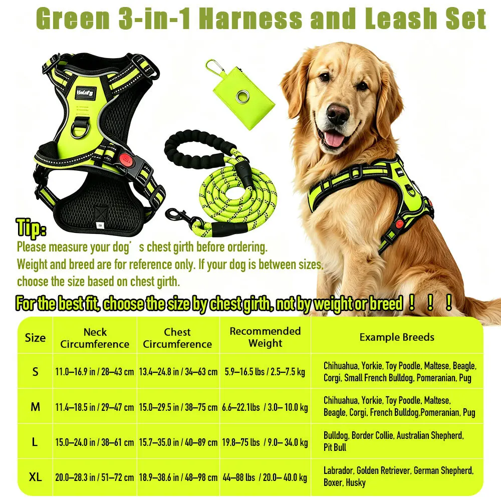 New three-piece set in green6