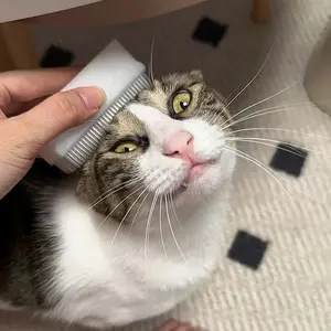 1pc Soft Bristle Cat Tongue Sensory Brush - Analogous to a Mother Cat's Tongue - Comforting Pet Tool, Non-Electric Plastic - Ideal for Styling& Soothing Cats