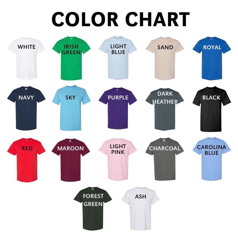 Rd Wave Last Lap Tour Unisex T-Shirt, Rd Wave Last Lap Tour Tees, Shirt In Light Pink, 100% Cotton Fabric