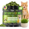 Dolean Feline Grass Treats,  Cat Grass for Hairball Control, Digestive Health Support, Training Treats for Indoor Cats, aurine & Essential Vitamins, Helps Skin, Coat & Teeth Cleaning, Crunchy Chicken, 500 Chews for All Ages