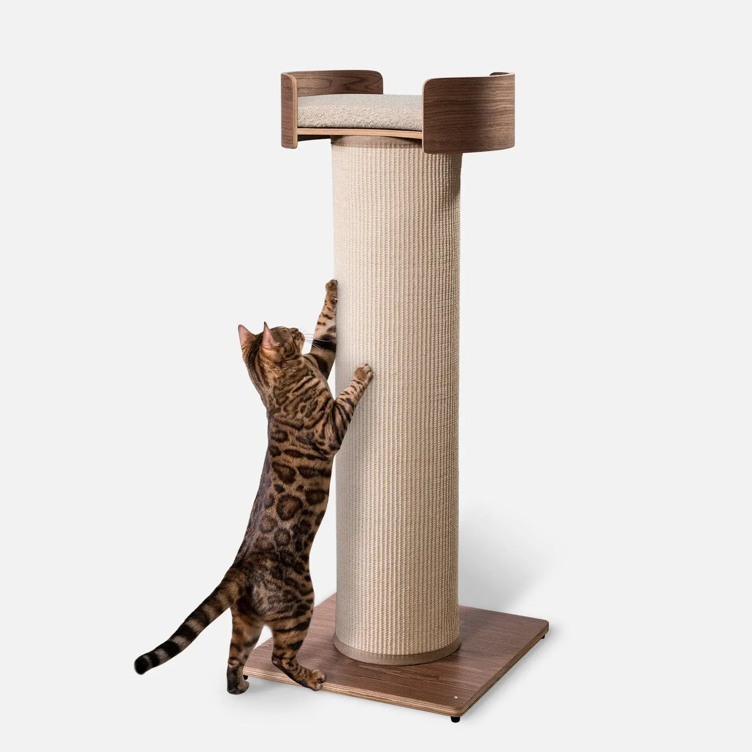 Giant Scratching Tower - Classic