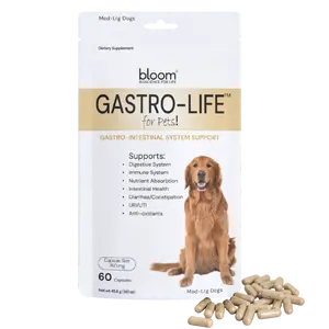 Bloom Gastro-Life for Pets - Revitalize GI Supplement for Digestive & Immune Health, 60 Capsules, Supports Nutrient Absorption & Intestinal Health