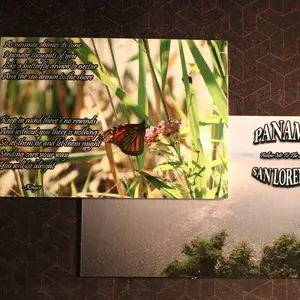 Crown's Kingdom Photography Postcards 4 Pack - Send to Loved Ones Friends Family Collectible Cards Featuring Nature Scenes & Beautiful Poetry