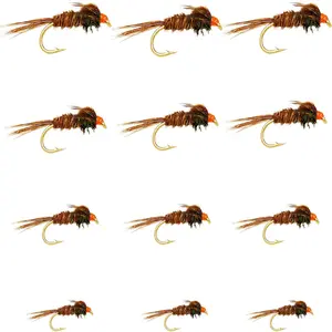 Every Season Trout Assortment Dry Flies/Nymph Flies/Attractor/Wet Flies for Trout Fly Fishing Flies
