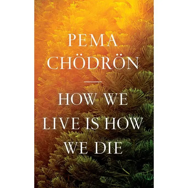 How We Live Is How We Die by Pema Chodron (Paperback)