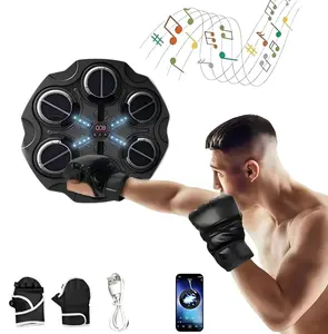 Electronic Kids Punching Game, LED Lights Music Boxing Target, Wall-mounted Fitness Toy with Adjustable Speed and Volume, Punching Equipment for Home
