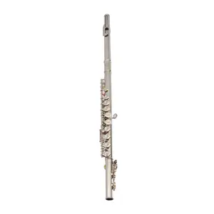 Nickel-Plated C Closed Hole 16-Key Concert Band Flute (71.6 cm), Bb Clarinet Flat Set with Mouthpieces & Tuning Rod, Beginner Student Starter Kit