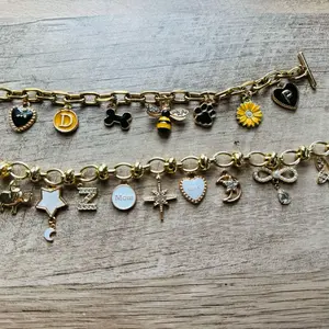 Custom Charm Bracelet with Variety of Charms