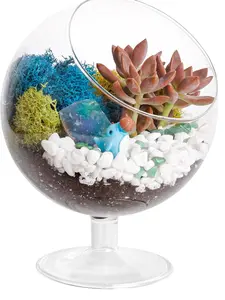 Creations by Nathalie 6" Chalice Glass Succulent Terrarium Kit, Reindeer Moss, Crystals, Rocks, Tools & Figurine (Includes Live Plant)