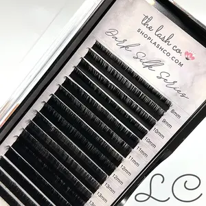 Dark Silk Volume Lash Trays - LC Curl
